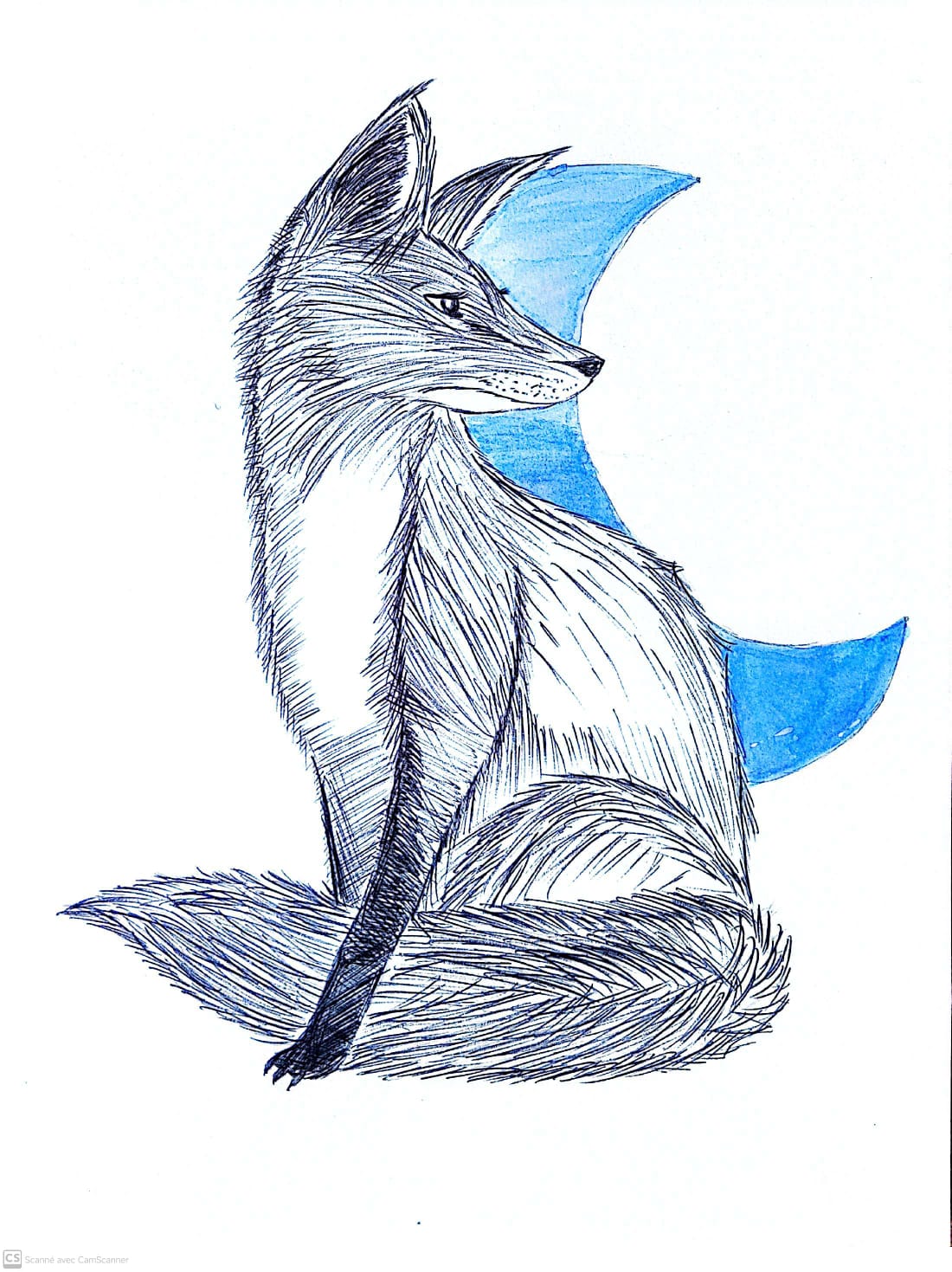 Dessin renard
